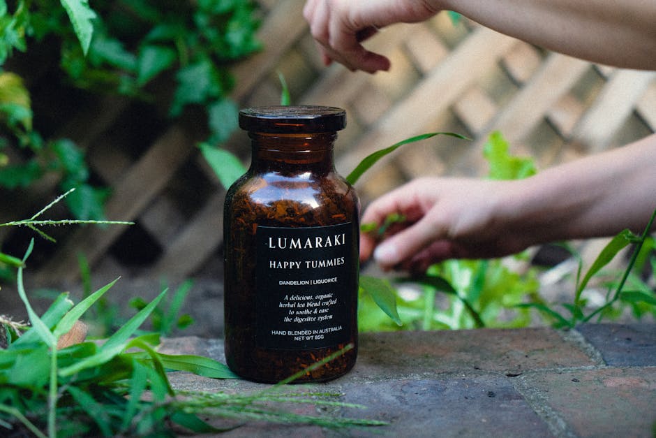 A jar of organic dandelion liquorice tea with hands tending plants in a garden.
