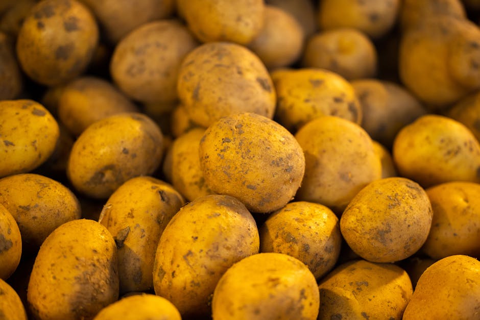 A close-up view of a pile of fresh raw potatoes, showcasing their earthy texture and organic appearance.