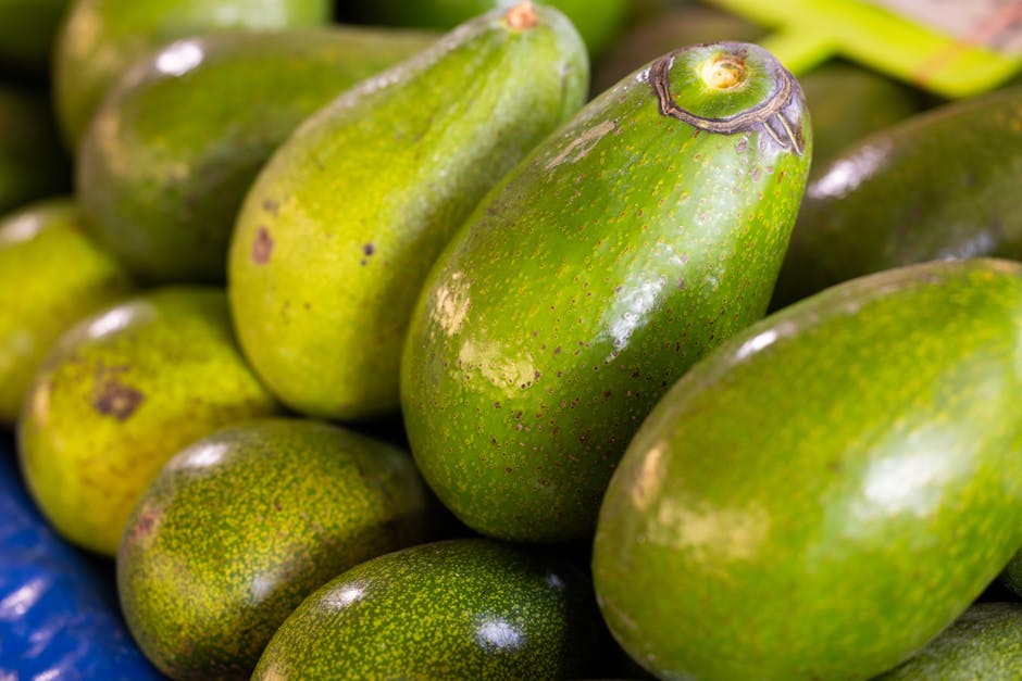 A close-up view of fresh, ripe green avocados showcasing their texture and rich color.