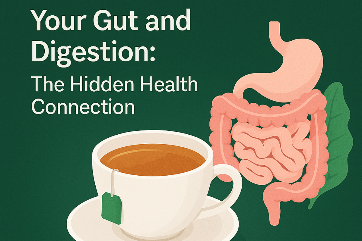 Tea Gut Health Digestion