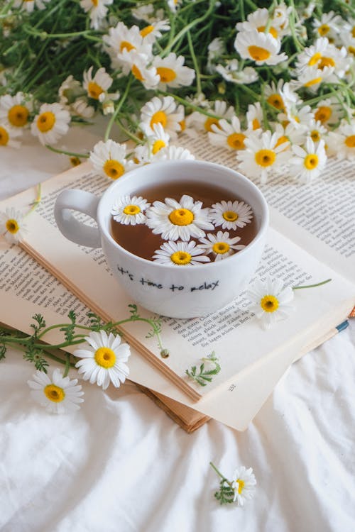 Chamomile tea with fresh herbs - natural remedies for sleep and anxiety
